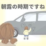 朝露の時期ですね